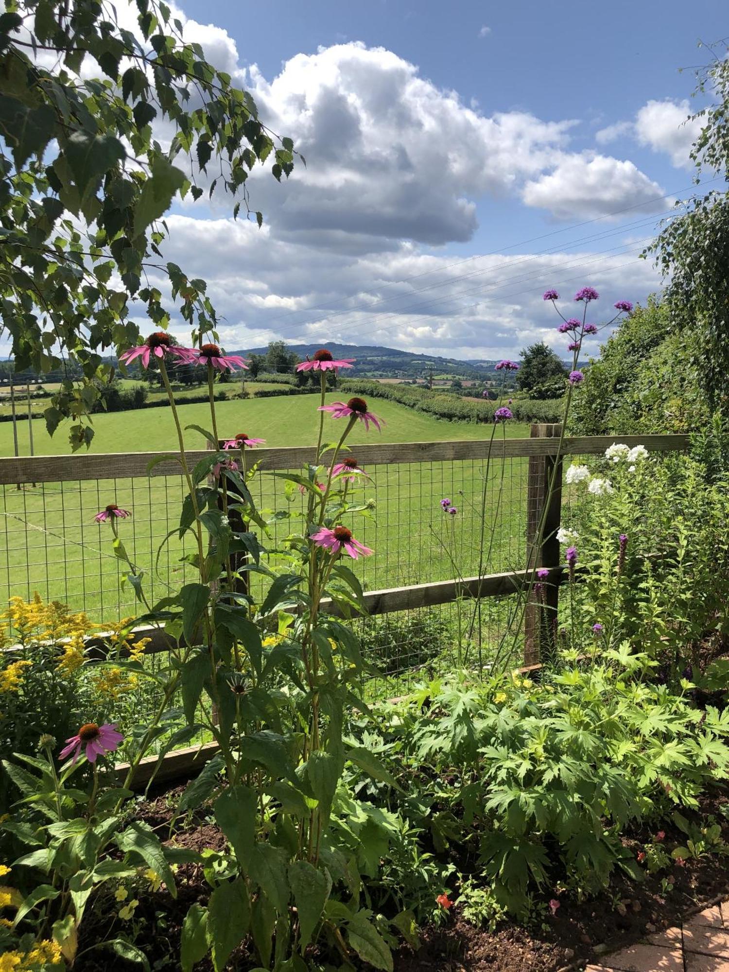 Betula Views Studio Newent Exterior foto
